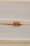 Heliophilia Silver Pendientes de Plata Esterlina 925 Color Rose
